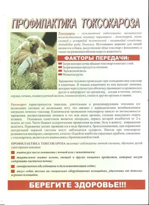Дехинел Плюс (KRKA) антигельминтик для собак со вкусом мяса 2 шт | Купить в  Москве