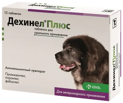 Дронтал плюс со вкусом мяса для собак, таблетка – купить в Воронеже по цене  интернет-магазина «Две собаки»