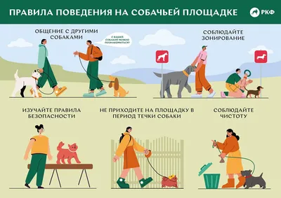 Капли от внешних и внутренних паразитов Inspector Quadro С для собак 4-10кг  - купить с доставкой в Vprok.ru Перекрёсток по цене 690.00 руб.