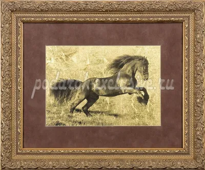 MAMADO - Толстая лошадь (Конный клуб)