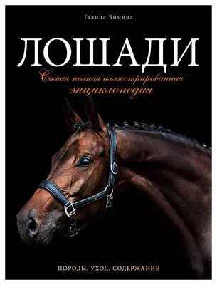 Бронзовая фотостатуя с абстрактной бронзовой головой лошади, Большая лошадь,  бюст, художественные поделки для дома, фотоподарки | AliExpress