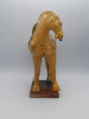 КСК \"Толстая Лошадь\"