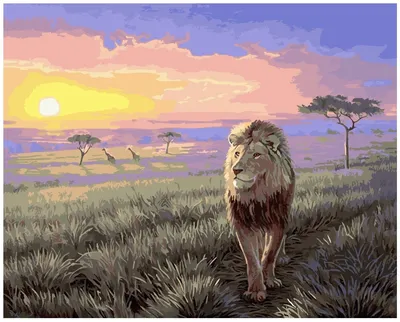 Огромный лев мужчины Kalahari Стоковое Изображение - изображение  насчитывающей конец, убийца: 92241987