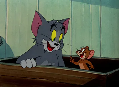 Том и Джерри. Жил-был кот Том (DVD) - купить мультфильм на DVD с доставкой.  Tom And Jerry: Once Upon A Tomcat GoldDisk - Интернет-магазин Лицензионных  DVD.