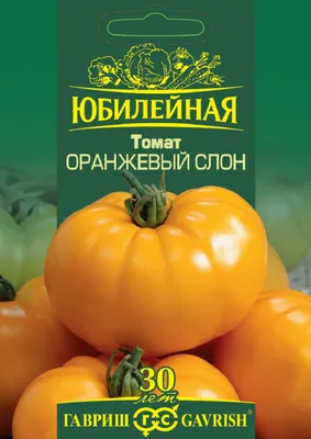 Черный слон - Помидоры - tomat-pomidor.com