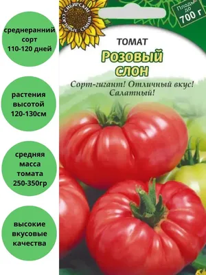 Томат Розовый слон 0.15 г Gl Seeds - купить по лучшей цене в  Днепропетровской области от компании \"Agroretail.com.ua\" - 520888875