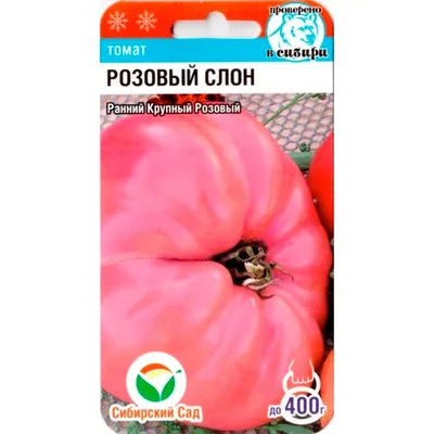 Семена томата «Розовый слон», ТМ OGOROD - 20 семян купить недорого в  интернет-магазине семян OGOROD.ua