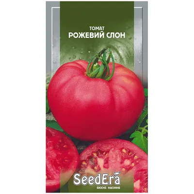 Семена томатов Розовый слон /АСК/ 0,05 г - АГРО СЕМЕННАЯ КОМПАНИЯ