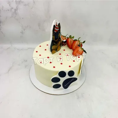 Торт для собаки | Пикабу