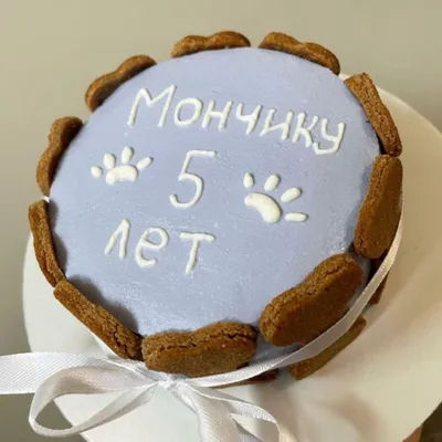 Торты для собак - С Днём рождения 🥳 Меттью! Торт 🍰... | Facebook
