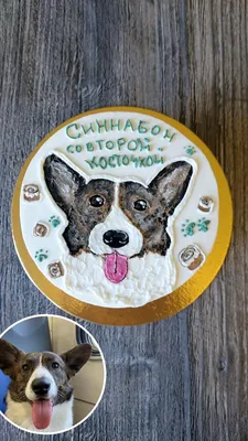 Игрушки для собак милые мягкие плюшевые торт на день рождения пищащий  собачий жевательный игрушечный торт для домашних животных вечерние  интерактивные игрушки для торта на день рождения | AliExpress