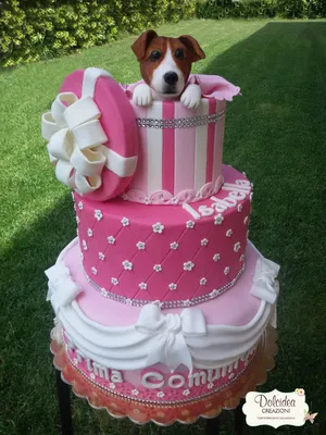 Торт для собаки на день рождения - 70 photo