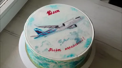 Торт самолет на заказ с доставкой недорого, фото торта, цена в интернет  магазине