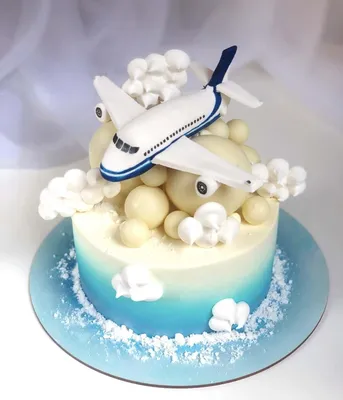 Торт с самолетом для папы на заказ с доставкой недорого, фото торта, цена в  интернет магазине