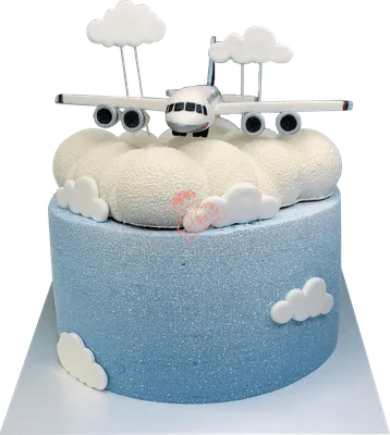 Торт самолет №599 по цене: 3000.00 руб в Москве | Lv-Cake.ru