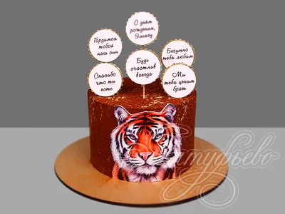 Пин от пользователя Vlad Bejinari на доске Tort | Торт на день рождения,  Торт с животными, Тематические торты