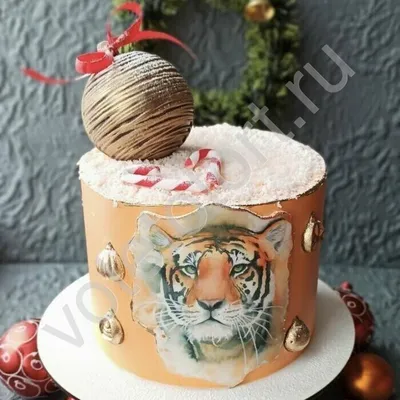 Торт с тигром 🐯💚 Торт украшен фотопечатью 🐯, леденцами 🍭 и ягодами 🍓  🤩 Больше фото по хэштегу #кондитерскаяVasilisa_тортыдлядетей… | Instagram