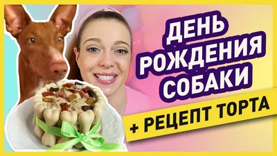 В Москве теперь можно заказать торт для собаки - KP.RU