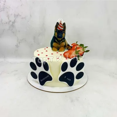 Торт виде собаки» — создано в Шедевруме