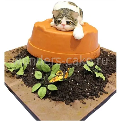 Кошки в оформлении тортов (33 прикольных фото) | факты о кошках | Дзен
