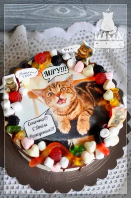 Купить Торт В виде кота №3990 недорого в Москве с доставкой