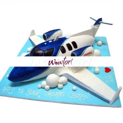 Торт Самолет купить на заказ в СПб | CC-Cakes