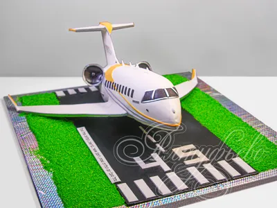 Торт Бизнес-Джет Global 8000 30062321 в виде самолета на день рождения  мужчины в 45 лет стоимостью 13 200 рублей - торты на заказ ПРЕМИУМ-класса  от КП «Алтуфьево»