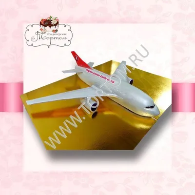 Торт «Самолет» категории торты для летчиков, стюардесс и стюартов