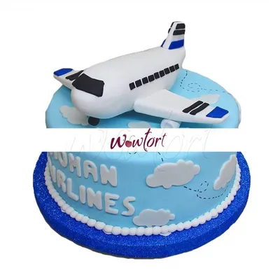 Торт в виде Самолёта №8 | Заказать торт недорого в кондитерской Wow-tort