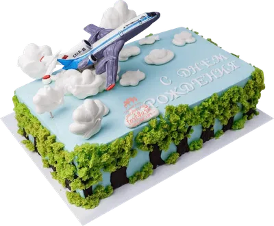 Торт Самолёт в Небе | Торт самолеты, Тематически оформленные торты,  Дорожный торт