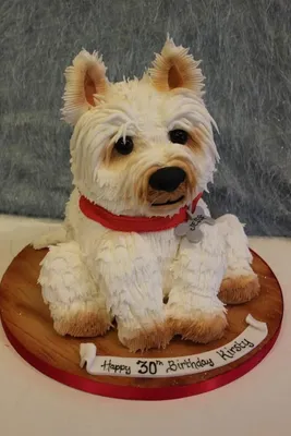 торт собака 3d | Восхитительные торты, Декоративные тортики, Сумасшедшие  торты