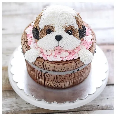 Подарочный торт собака ротвейлер № 660 стоимостью 8 650 рублей - торты на  заказ ПРЕМИУМ-класса от КП «Алтуфьево»