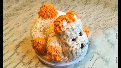 Торт собака - 69 фото