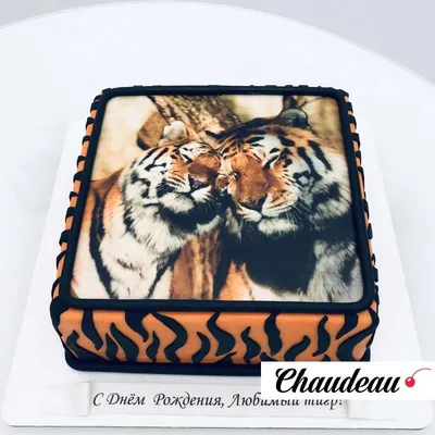 Торт В стиле тигра с доставкой по Москве Тигры Тематические торты  Производство тортов на заказ - Fleurie