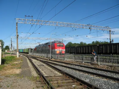 В Украине сошел с рельсов товарный поезд