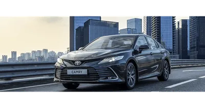 Toyota Camry 2019: комплектации, цены, фото нового кузова