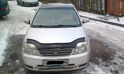 Купить Toyota Corolla 2002 года в городе Минск за 4400 у.е. продажа авто на  автомобильной доске объявлений Avtovikyp.by