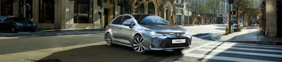 В Сети показали экстерьер седана Toyota Corolla 2025 года нового поколения  в высококлассном стиле