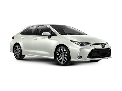Специальная партия Toyota по уникальным ценам в Major | Major — официальный  дилер Тойота в Москве