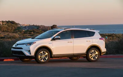 All-New 2019 Toyota RAV4 Aims for Adventure - Consumer Reports