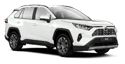 Toyota представила рестайлинговый RAV4: новые фары и опции - Российская  газета