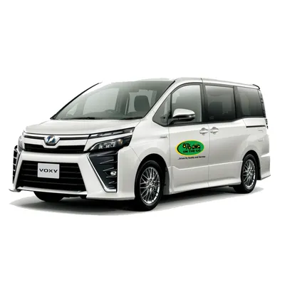 TOYOTA VOXY, 2010, S/N 253289 Used for sale | TRUST Japan