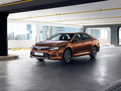 Toyota и Lexus оснастят системой автоматического торможения все модели и  комплектации - КОЛЕСА.ру – автомобильный журнал