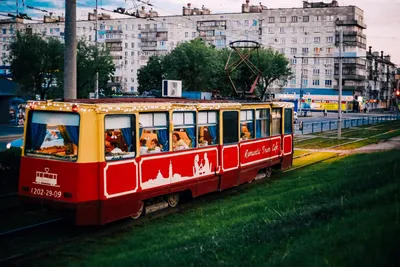Отзывы о «Romantic Tram» — Яндекс Карты