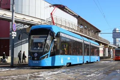 Трамваи семи маршрутов задерживаются на северо-западе Москвы по техническим  причинам