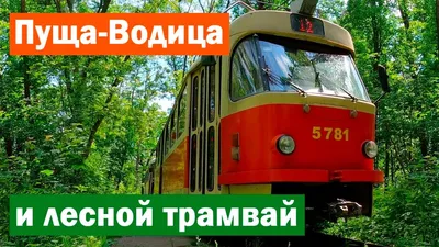 Киев: Пуща-Водица и лесной трамвай - YouTube