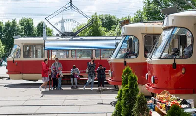 Пуща-Водица, Дзидзьо, Татра Т3 и дикие звери, – репортаж с трамвайного  маршрута №12 | Украинская правда