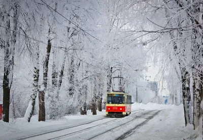 Возобновлено движение трамваев в Пущу-Водицу | «Моя Оболонь» - портал  Оболонского района Киева