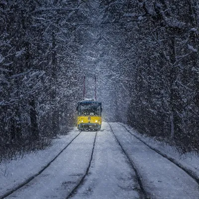 Старый Киев | Зимний трамвай, Пуща-Водица