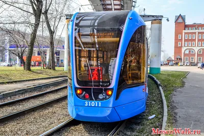 Витязь-Ленинград», «Витязь-М», «Богатырь-М»: в Александровском парке  состоится Большой трамвайный праздник
